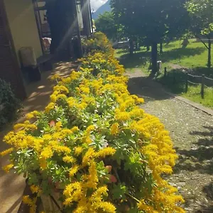 Castagno 1 Sentiero Del Viandante , Bellano Italien